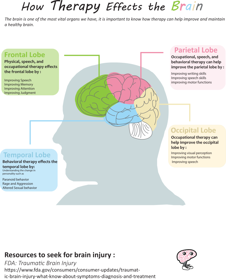 Infographic about therapy and the brain